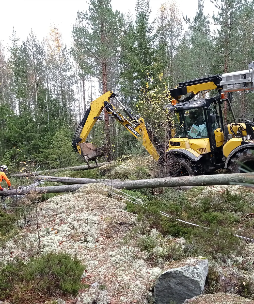 pajacenter kuvituskuva